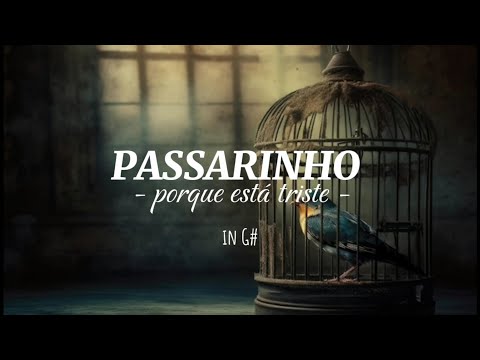 Passarinho Por Que Está Triste - Hinos Avulsos…