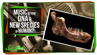Music in Your DNA and A New Species of Human?