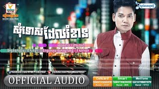 សុំទោសដែលរំខាន - ព្រាប សុវត្ថិ [OFFICIAL AUDIO] #RHM