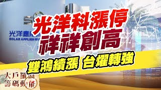 光洋科漲停 祥祥創高 雙鴻續漲 台燿轉強 (圖)