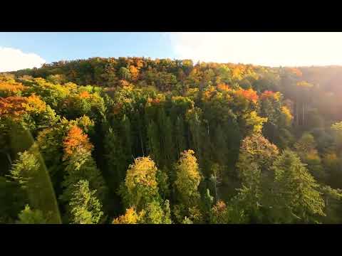 Flywoo explorer LR 4 with o3 / Black Forest in Autumn