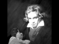 Beethoven's Silence by Ernesto Cortazar 