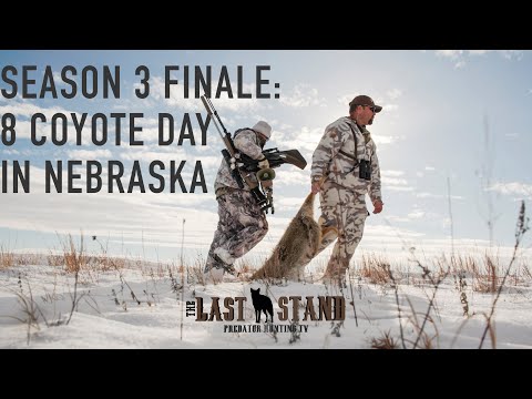 The Season 3 Finale: 8 Coyote Day in Nebraska | The Last Stand S3:E10 | Howling for Coyotes
