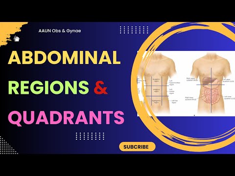 Nine Abdominal Regions and Four Abdominal Quadrants