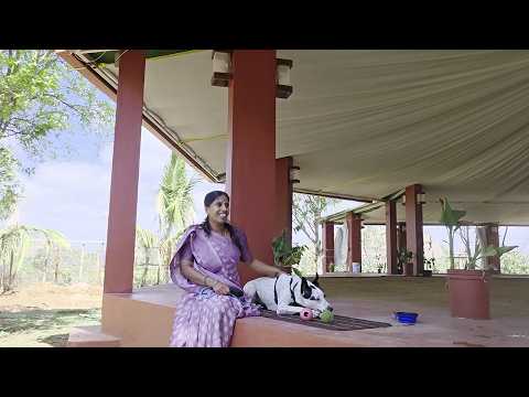 Sukanya and Nala