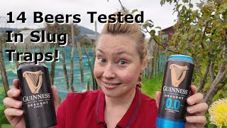 Best Beer For Slug Traps and Snail Traps Tested, You Won't Believe The Result!