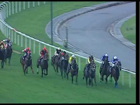 Saas Fee Stakes 2010 (Waikato)