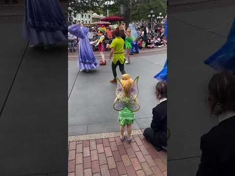 This little girl went to meet this fairy at a parade 👏
