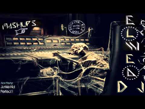 Vicetone x Qulinez x Junkie Kid x R3hab x Dyro - Perfect Time (Elwëa Mashup)