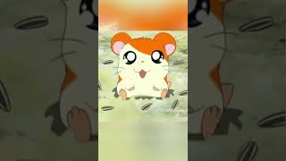 Download lagu Hamtaro-hamtaro ost film kartun hamtaro#hamtaro#ostfilmkartunhamtaro#hqmtarofilmkartun#hamtaro# mp3 Download lagu Hamtaro-hamtaro ost film kartun hamtaro#hamtaro#ostfilmkartunhamtaro#hqmtarofilmkartun#hamtaro# mp3