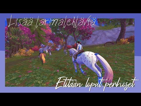 Katriinan muistojen metsästystä | SSO