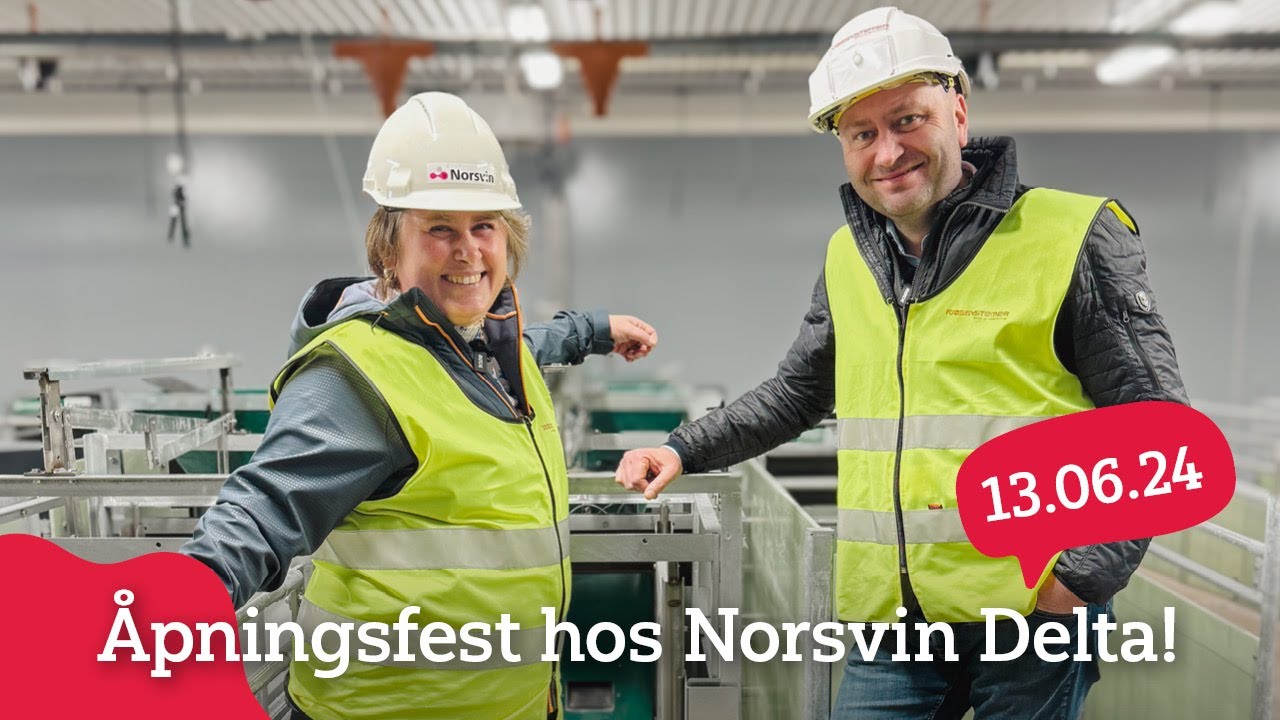 Åpningsfest hos Norsvin Delta på Løten, juni 2024