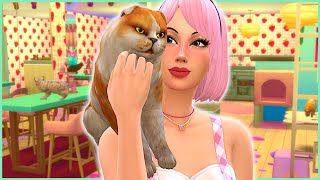 Can you run a Cat Cafe in the Sims 4? // Sims 4 Live in Business