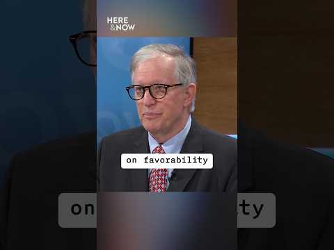 Wisconsin's 2026 Governor Race: Favorability Ratings Explored