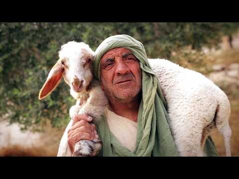 Shepherds in the Fields near Bethlehem