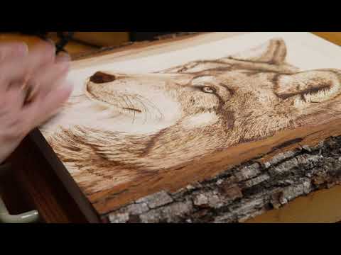 Understanding Typical Woodburning Mistakes