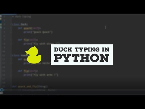 Python Tutorial 60 Duck Typing In Python Quack Quack