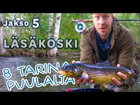 Perhokalastusta Läsäkoskella