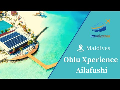 Videos del Oblu Xperience Ailafushi 4★ en Malé, MaldivasVer MásVerPrecios15CerrarConsulta por Whatsapp 🇦🇷BookingTripadvisorExpediaAgodaTravelocityOrbitzTripSkyscannerKayakHotelesDestiniaTrivagoLastminuteHotwireTui