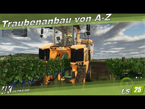 LS25 / FS25 🚜 Tutorial 🍇 Traubenanbau von A-Z - 4K
