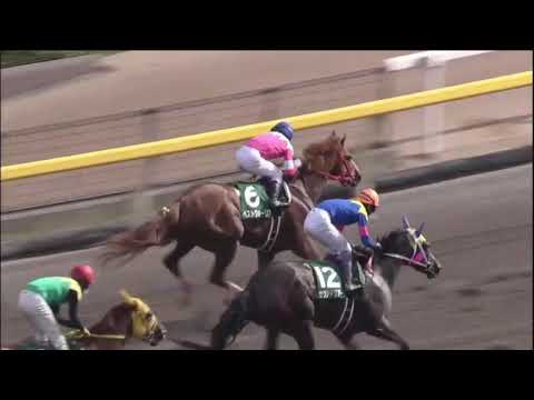 Best Warrior wins Unicorn Stakes (G3) race 11 at Tokyo 6/16/2013