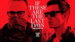 04 Electric Wire Hustle - Bottom Line (Flako Remix) [somethinksounds.]