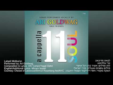 ARI GOLDWAG - Latseit Midika'on (A Cappella) ארי גולדוואג - לצאת מדיכאון - ווקאלי