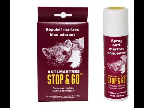 Spray concentré anti-martres et rongeurs STOP & GO 200 ml - Norauto