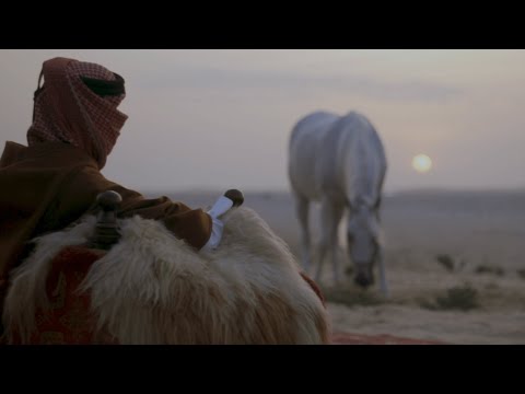 Living the tradition in our modern world, experiencing the Arabian horse uniting us around the fire!