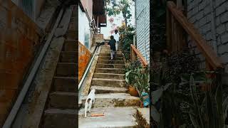 Download lagu tempat tidur di Kundasang, sebelum #Kinabalu #akinabalu #hiking mp3 Download lagu tempat tidur di Kundasang, sebelum #Kinabalu #akinabalu #hiking mp3