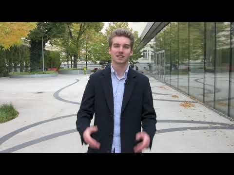 Infotage - Informatik - Diplomarbeit KNPS Chatbot