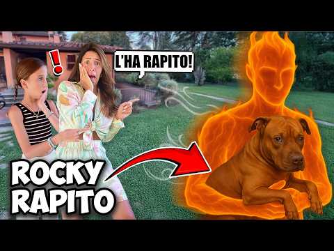 ROCKY E' STATO RAPITO DA MR SUMMER ! Dove sarà??