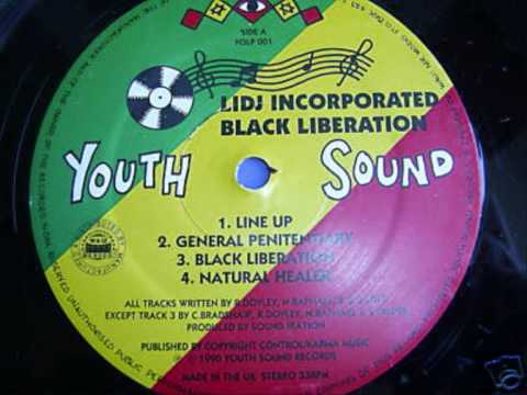 lidj inc. . Natural Healer