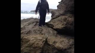 preview picture of video 'video1.mov: Jughandle State Reserve Beach'