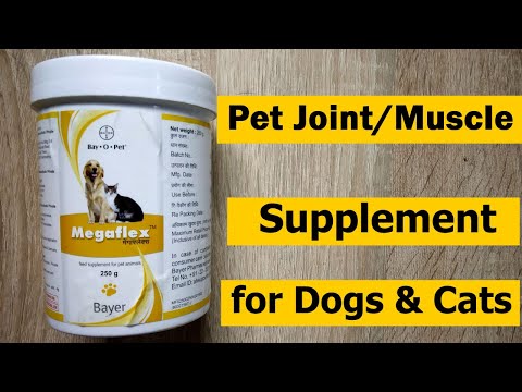 Megaflex dog medicine
