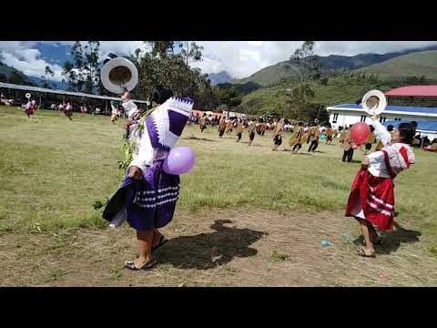 CARNAVAL CACHORINO 2019 - Comunidad campesina de Pantipata.