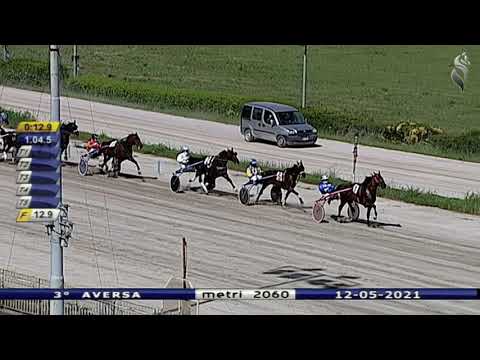 Aversa trotto 12 Maggio 2021 - 3° Corsa