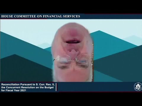 Congressman Tom Emmer appears upside down on Zoom hearing