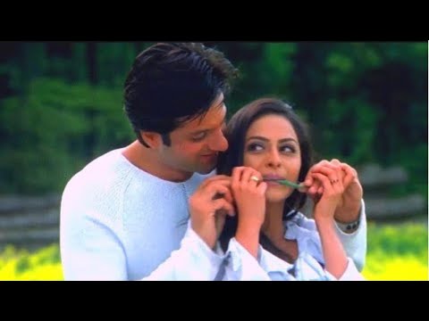 Jab Se Dekha Tumhe Hum To Khoye Khoye Rehte Hain | Kumar Sanu, Alka Yagnik | Hindi Song