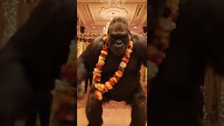 Download lagu Gorilla dance #ai #aiart #wedding #gorilla #gorilladance mp3