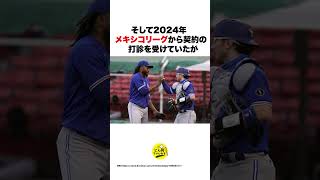 【水泳帽】ドリス大好き