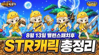 STR 캐릭터 총정리