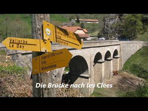 Orbe - Gorges de l'Orbe -  Vallorbe / Eine wunderbar grüne Schlucht /// 22. Juni 2020