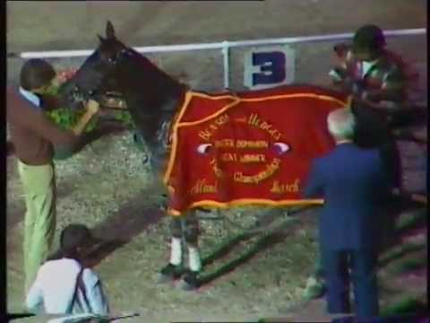 1983 Interdominions - Pacers' 9th Heat, Alexandra Park, Auckland: Delightful Lady