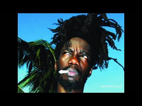 STRANGE THINGS RIDDIM HIP HOP PART 2 MEGAMIX - IRIE ITES RECORDS