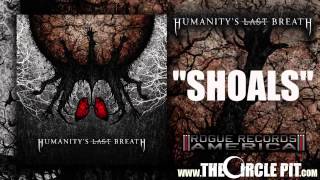 Shoals Music Video