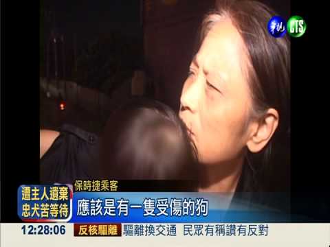 閃狗急踩煞 後車追撞翻覆卡車內