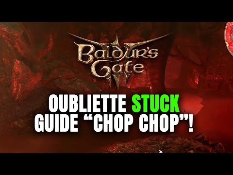 Stuck at Defeat Ketheric Thorm Quest at Oubliette (Chop, Chop guy) | Baldur's Gate 3