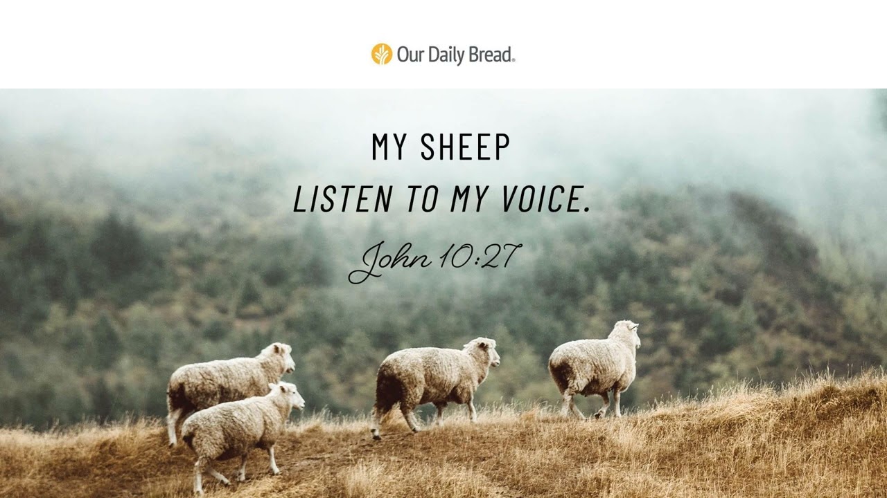 Hearing Christ, Not Chaos | Audio Reading | Our Daily Bread Devotional | November 3, 2022