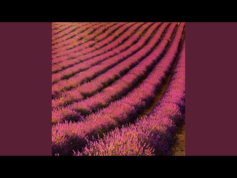 Popur Superpowered, Yet Powerless